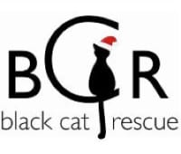 Black Cat Rescue