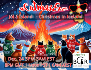 Party banner #1, cats and dogs around a fire in an Icelandic village.